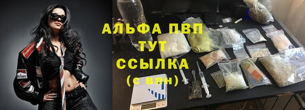 спиды Ладушкин
