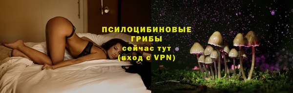 соль ск Лабытнанги