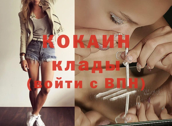 спиды Ладушкин