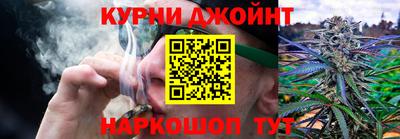 прущие грибы Ливны