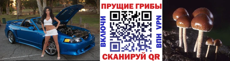 Псилоцибиновые грибы ЛСД  наркотики  blacksprut рабочий сайт  Мегион 