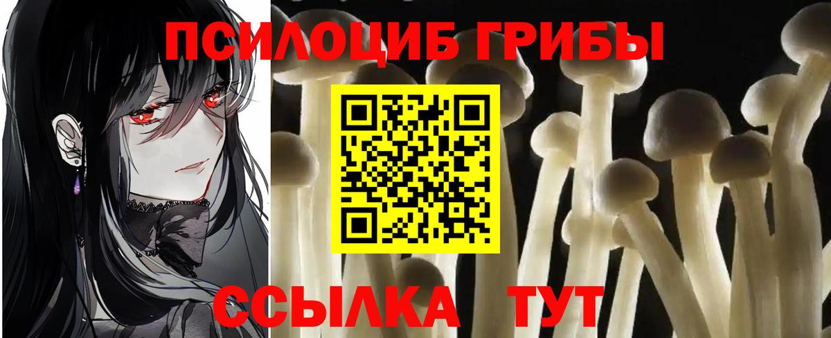 Галлюциногенные грибы Psilocybine cubensis  Вход с VPN  Мегион  Псилоцибиновые грибы прущие грибы 